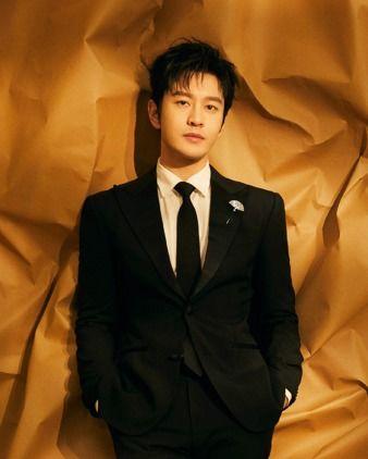 内地男明星大鸟,从演艺新星到实力派演员的蜕变之路
