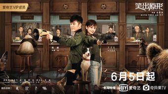 动物管理局观看免费,揭秘神秘世界，探秘人与动物和谐共处的奇幻旅程