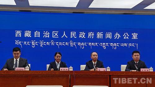 电网领导爆料新闻报道,新闻报道背后的真相与挑战