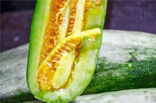 在哪可以吃网红瓜,探寻全国美食打卡地