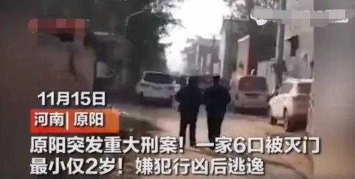 河南杀人视频,真相与反思