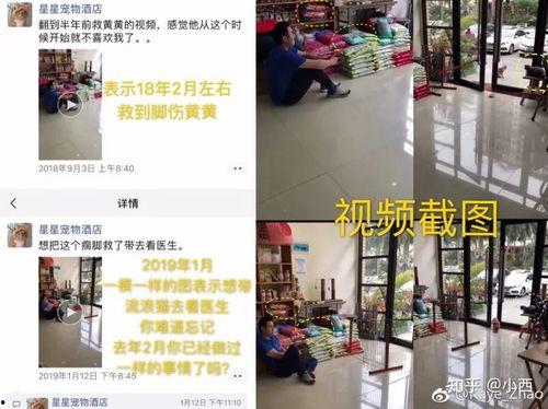 很很黄黄视频视频,揭秘“很黄很暴力”视频背后的真相与反思