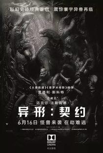 异形契约1在线观看免费,揭秘外星生物的惊悚起源